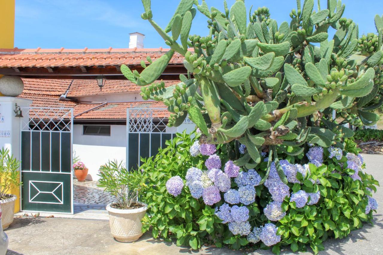 Quinta de Vale Escuro Lousã Exterior foto
